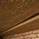 Summer Humidity Crisis in Crawl Spaces