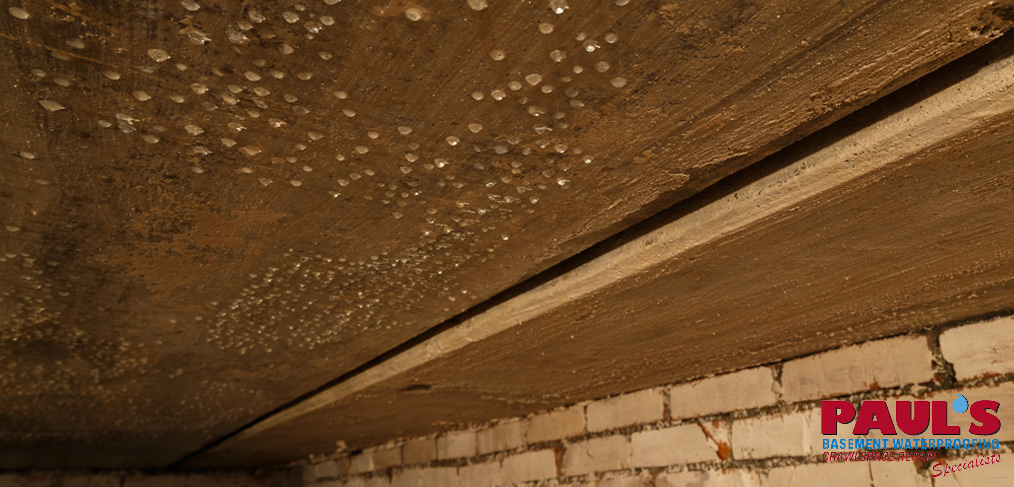 Summer Humidity Crisis in Crawl Spaces
